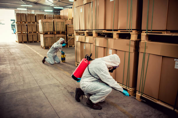 Best Emergency Pest Control  in Long Grove, IL