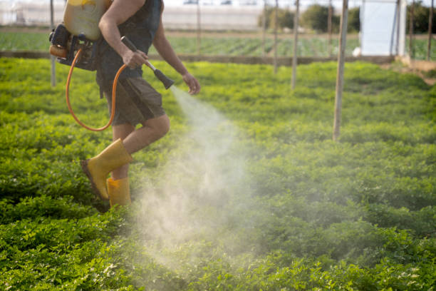 Best Best Pest Control Companies  in Long Grove, IL