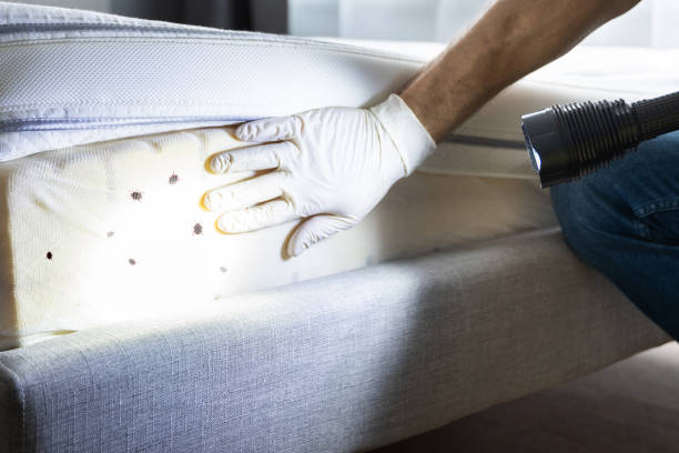 Best Cockroach Control Services  in Long Grove, IL
