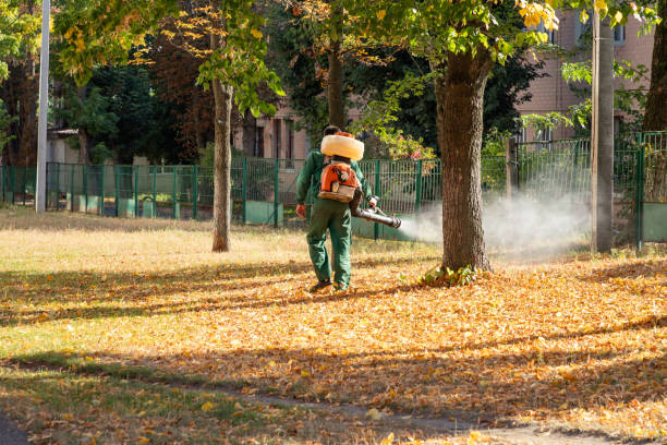 Wasp Removal Services in Long Grove, IL