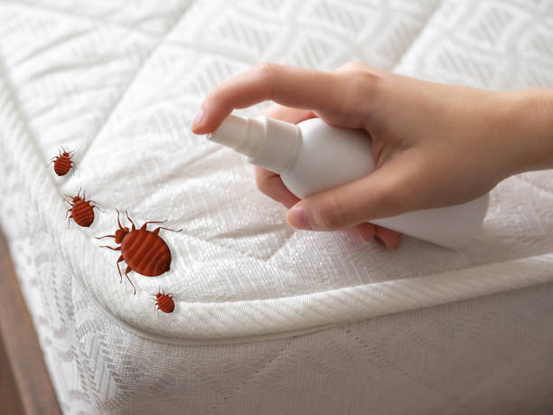 Best Affordable Pest Control Services  in Long Grove, IL